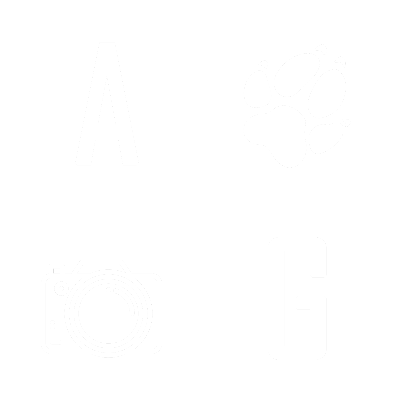 Il Fotografo di animali a Roma - Alessandro Grandoni